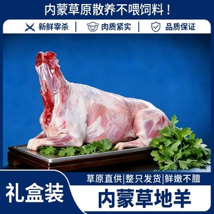 羊肉新鲜白条羊现宰整只内蒙羔羊酮体排酸烤全羊烧烤专用10-35斤