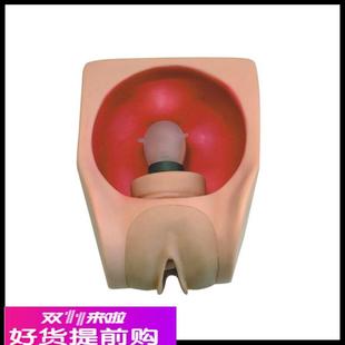 女性避孕練習(xí)模型 高級(jí)女性避孕訓(xùn)練模型 計(jì)生教育模型