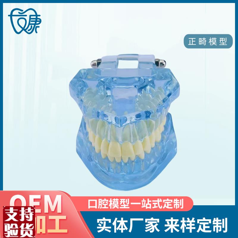 牙齿模型病理修复可o拆卸正畸口腔病理牙模型牙科医患活动沟通