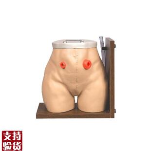 瘘管造口术护理模型结肠回肠造瘘口冲G洗教学家政培训训练假人模