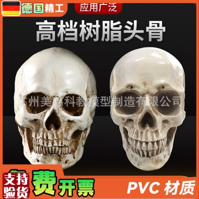 高仿真人头骨模型树脂骷髅v头艺术美术临摹专用标本人体头颅模型