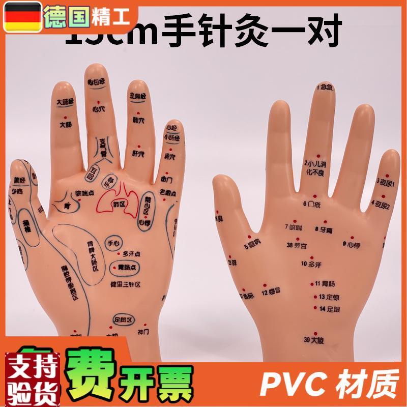 超清晰小儿手部反射区模型中医推拿针灸I教学穴位模型儿童仿真手
