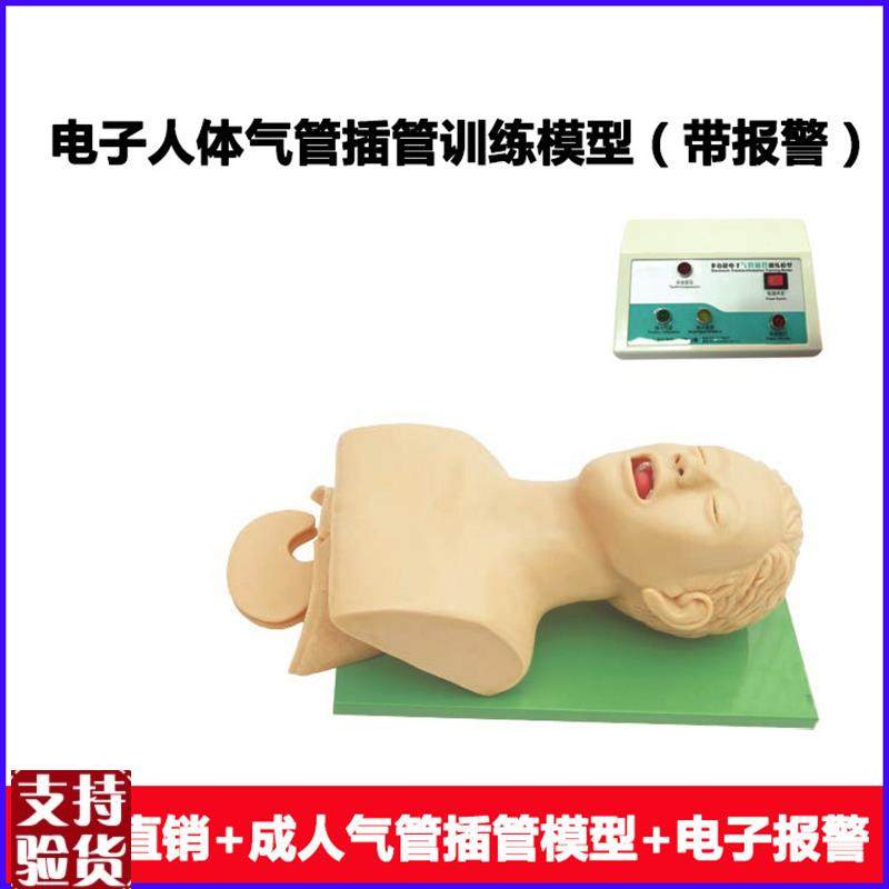电子人体气管插管训练模型(带牙齿受压报警)O口腔鼻腔气管插管训,文具电教/文化用品/商务用品,教学标本/模型,淘宝优惠券,粉丝福利购,淘宝优惠卷