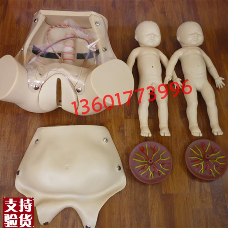 高级分娩综合技能训练模G型综合分娩助产模型