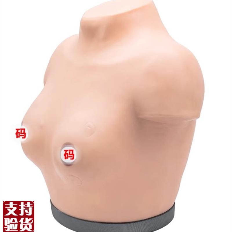 高级乳腺视诊与触诊检查模J型乳腺视诊检查模型
