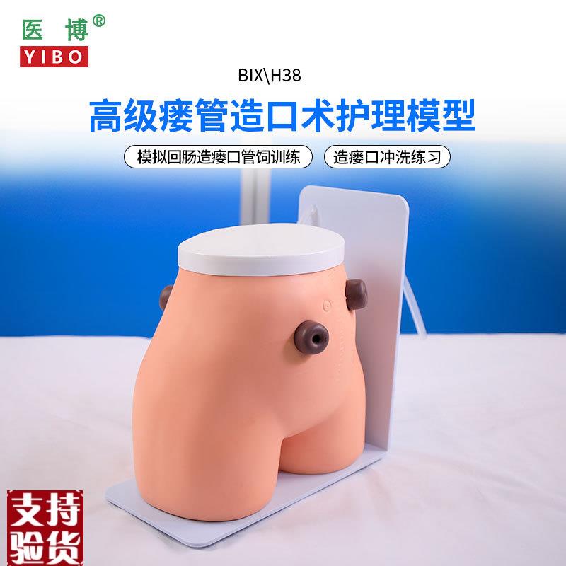 医博BIX-eH38高级瘘管造口术护理模型结肠回肠造瘘造口护理冲洗教