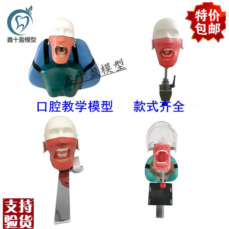 牙科仿真简易头模绑椅式v肩体款教学练习头颅模插椅式绑枕式