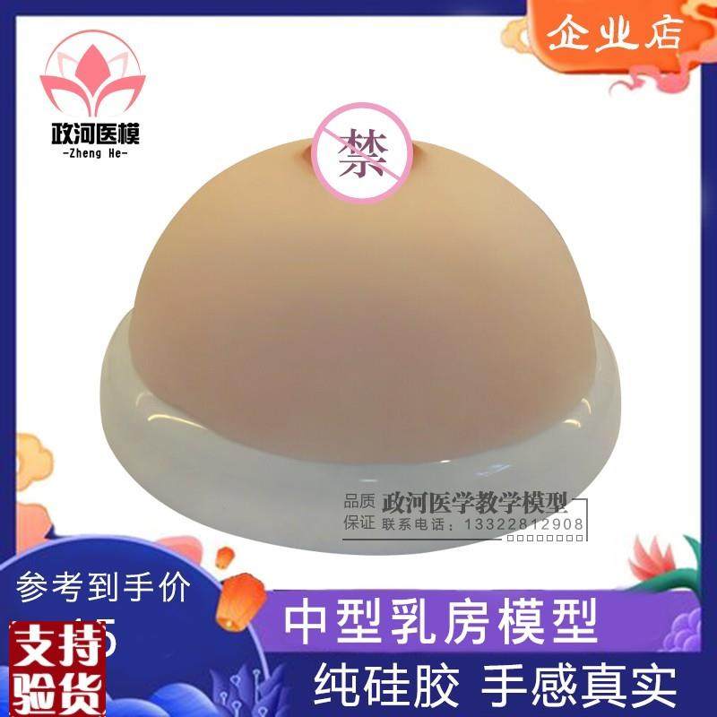 医模乳房模型乳房教学模型义A乳示教假乳催乳师哺乳培训模型
