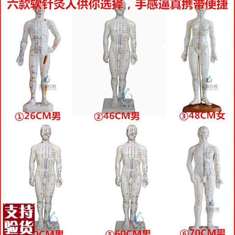 超清人体针灸穴位模型经络通铜人刻字中L医教学人体模型男女小人