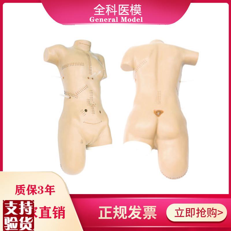 外科缝合包扎展示模型全身外科清创切G开缝合拆线换药操作训练模