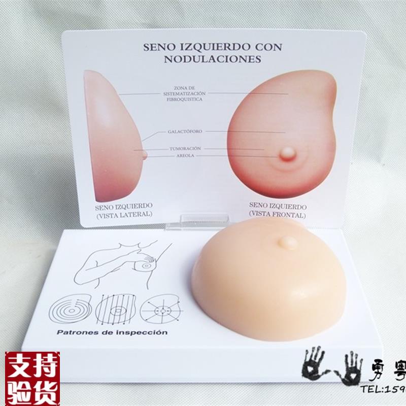 病理乳房模型f乳房自检模型乳房硬块软料硅胶计生办医用教学模型