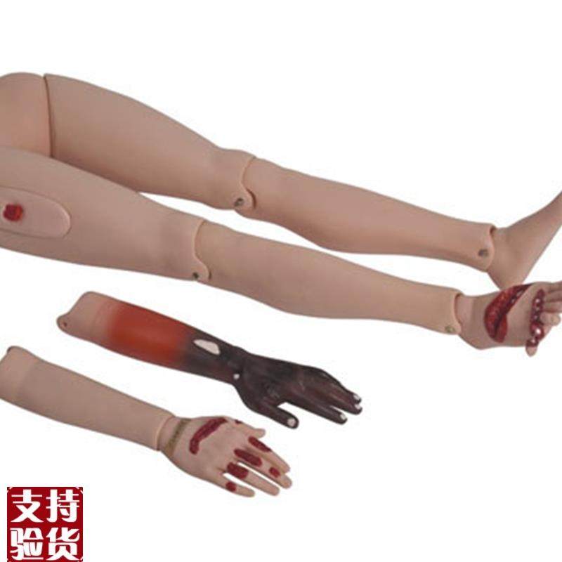 高级创伤四肢模型创伤护理烧伤急J救模型护理模型男女导尿