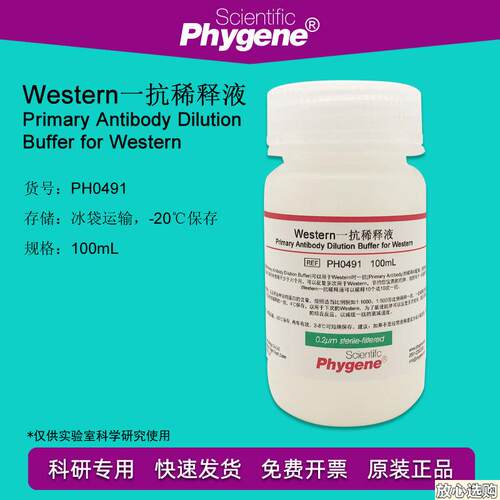 Western一抗稀释液WB实验专用100mLPH04S91PHYGENE