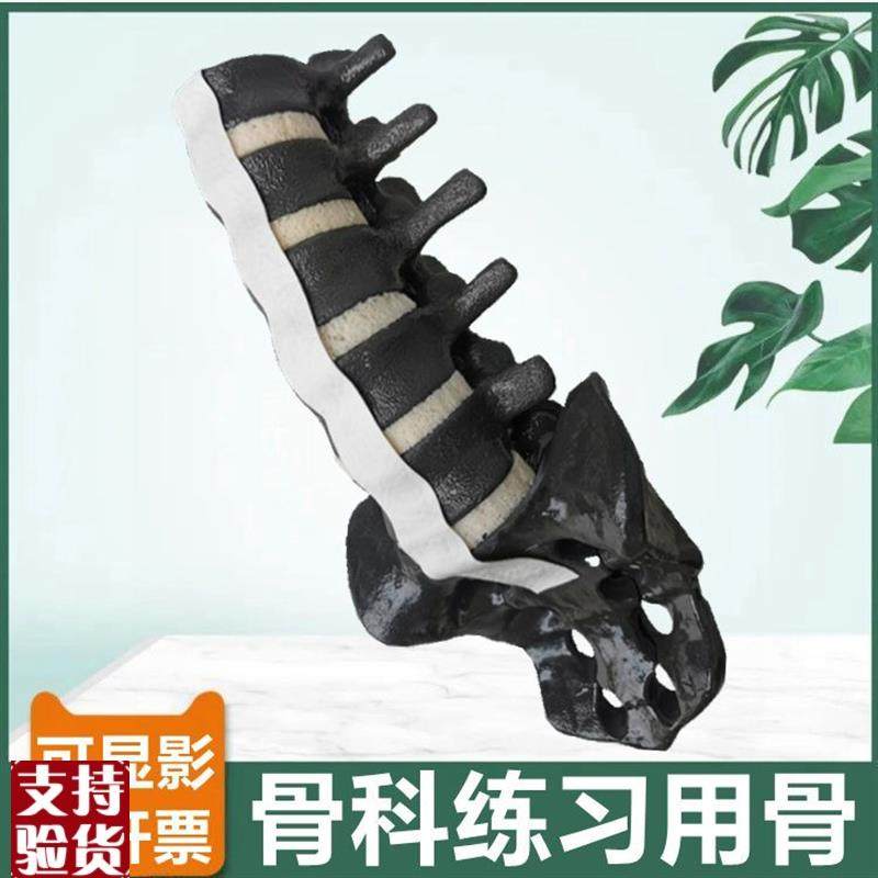 人体腰椎模型仿h真骨可显影胸椎颈椎椎间盘神经临床骨科医生用操