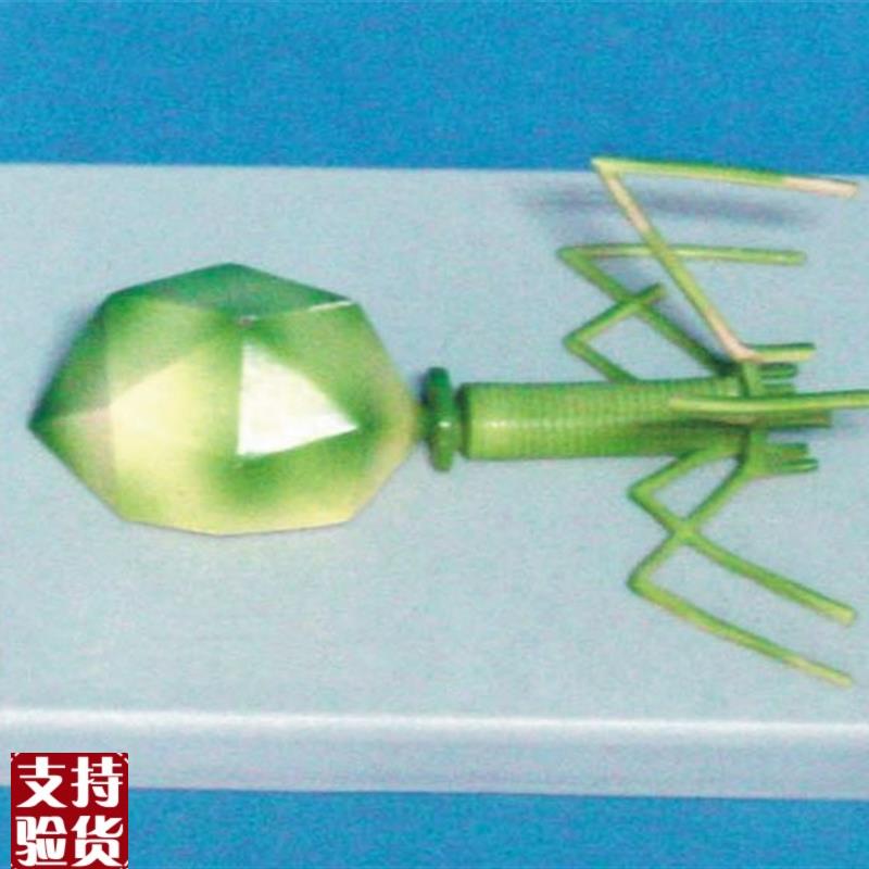 噬菌体病毒模型分子模L型医用教学模型