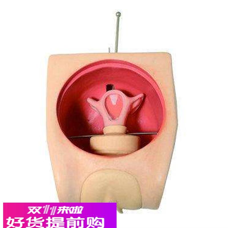 妇科技能训练检查计划生育教学育练习模型宫内避孕器上环取环模具