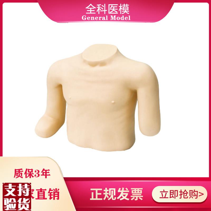 高级高位包扎模型头颈胸部上肢截肢手臂训练模N具骨折固定操作LV1