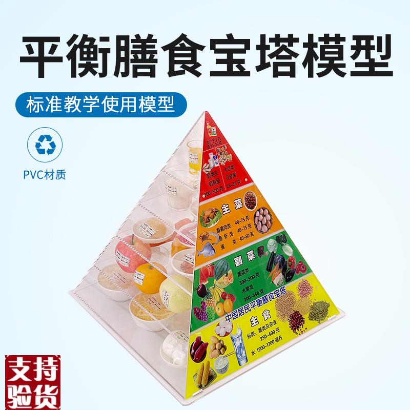 2022新版膳食宝塔中国居民膳食平衡宝塔膳食金T字塔营养食物模型