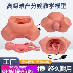 孕妇难产示教模型分娩教学模具难产助产示教训练生产分娩演示肩产