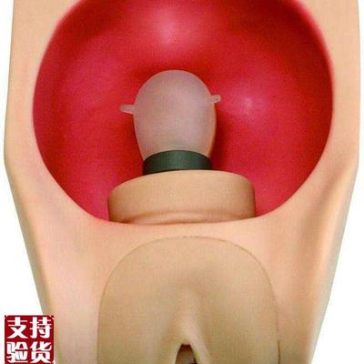 高级妇科d女性宫内避孕练习模型