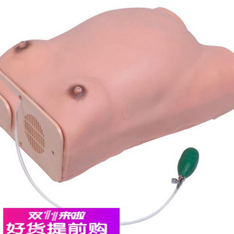 高级孕妇检查模型妇科检查模具怀孕检查模型