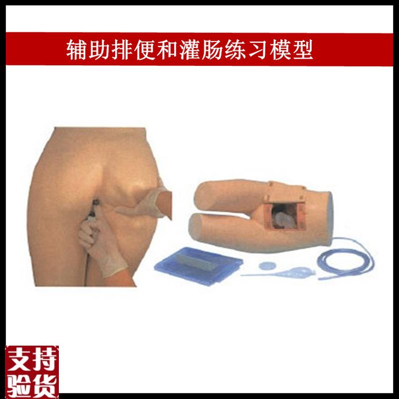 辅助排便和灌肠练习模型医w院培训护士训练模型肛门检查模型
