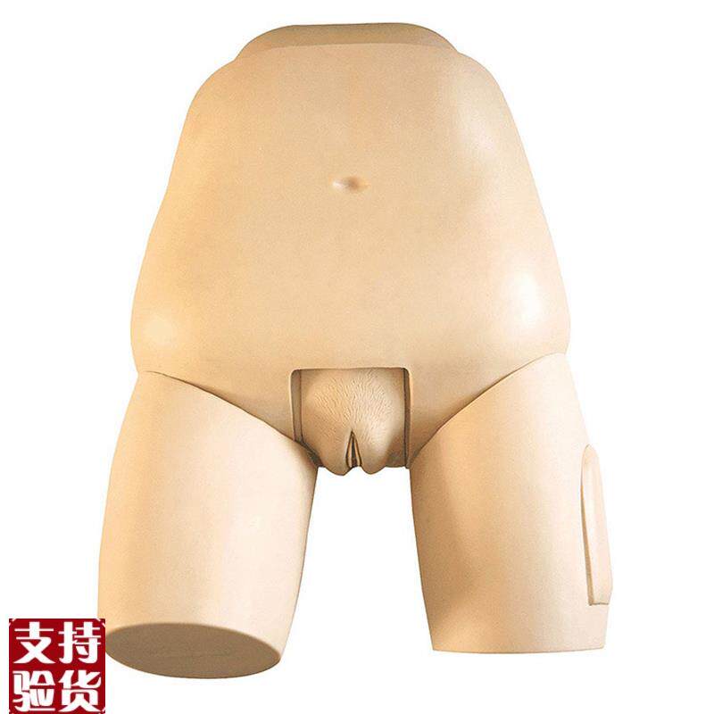 高级子宫底检查评定模型妇幼婴产科技能U训练考试模具