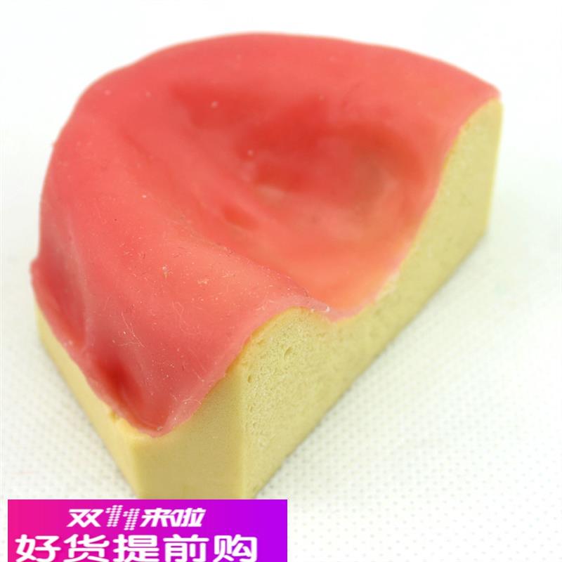 ENOVO颐诺口腔即刻种植模型仿真下颌骨附牙龈模型种植牙训练培训