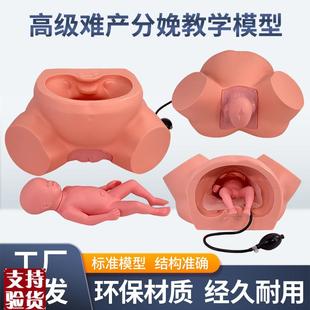 孕妇难产示e教模型分娩教学模具难产助产示教训练生产分娩演示肩