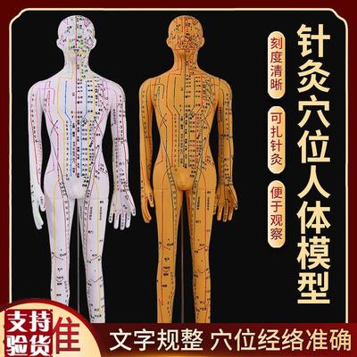 全铜色人c体针灸模型人经络穴位中医全身十二铜人模特图可扎针练