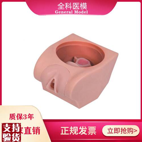 计划生育教育模型宫内避B孕器上环训练指导道具模具