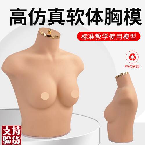 内衣文胸橱窗f展示拍摄道具女半身硅胶软体仿真人模特75B/C胸模