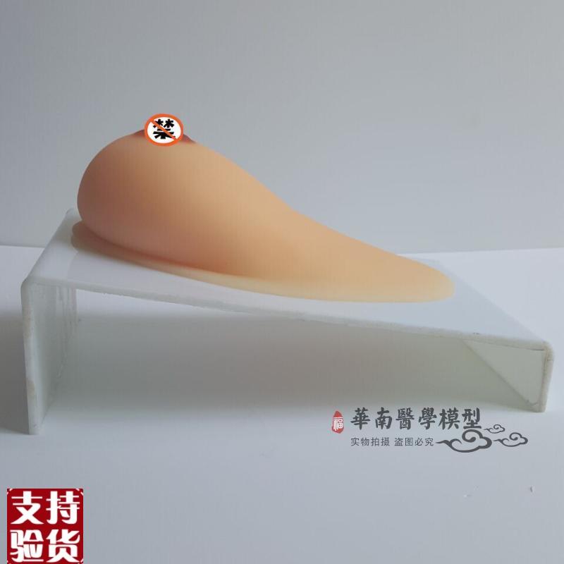 假乳义乳_女性乳房模型_催乳师培训道G具_哺乳教学模具催乳教育具