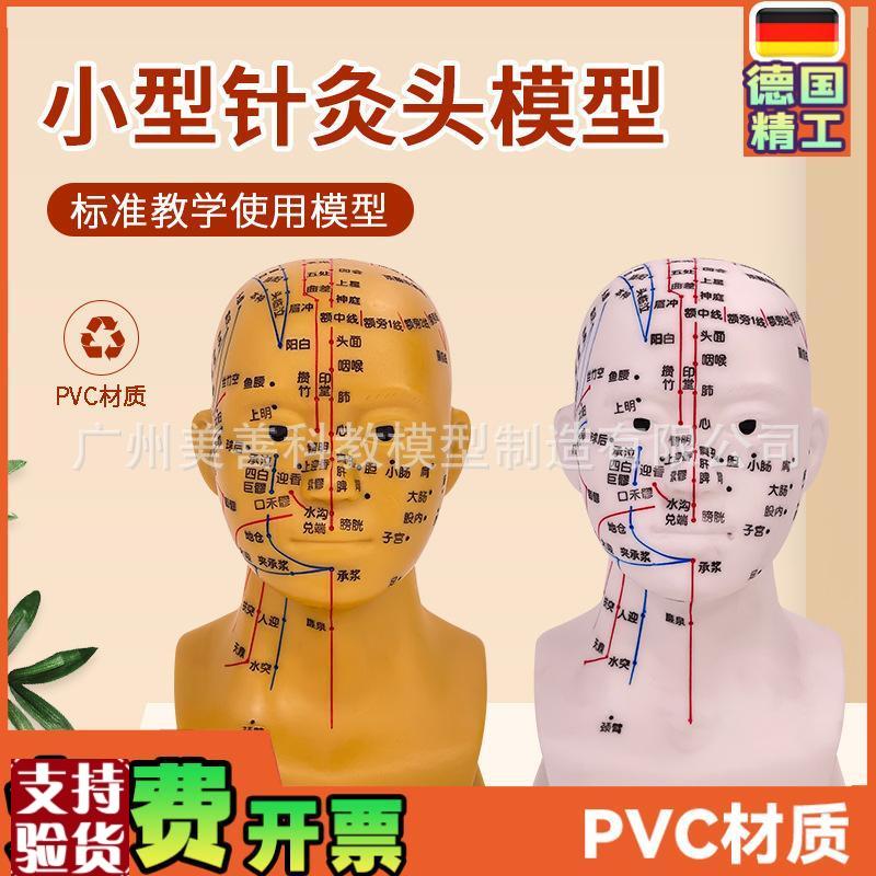 头部针灸穴位模型人体头部针灸模型20CM小N型头部四功能针灸模型
