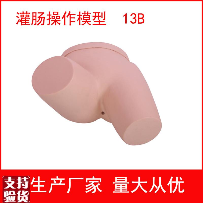厂家直销灌肠操作模型灌肠练习模型护S士灌肠实习模型