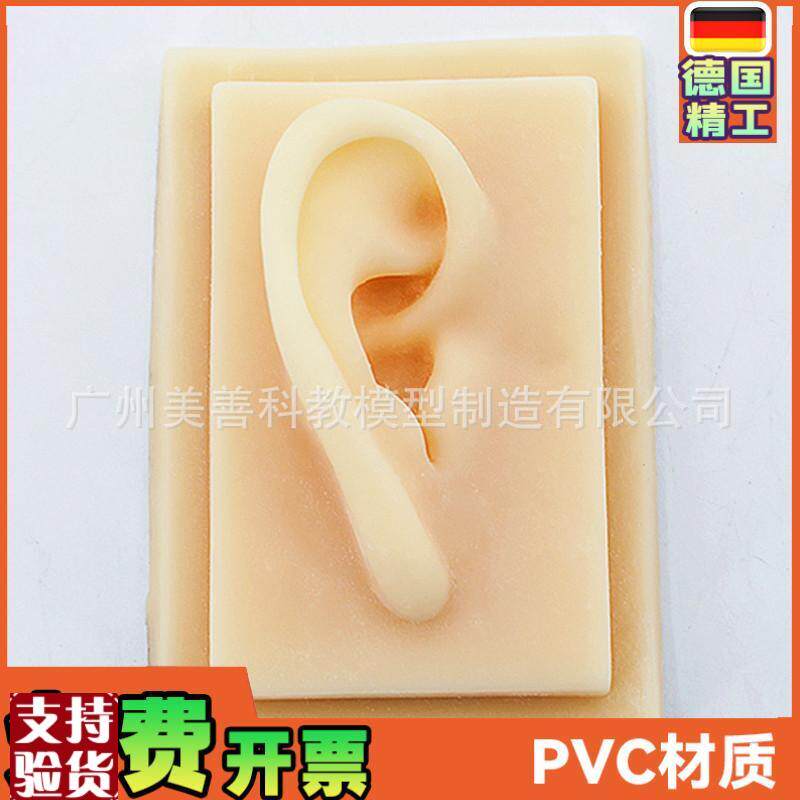 硅胶耳朵模型软TPR耳朵模型仿F真人体耳模助听展示道具一对