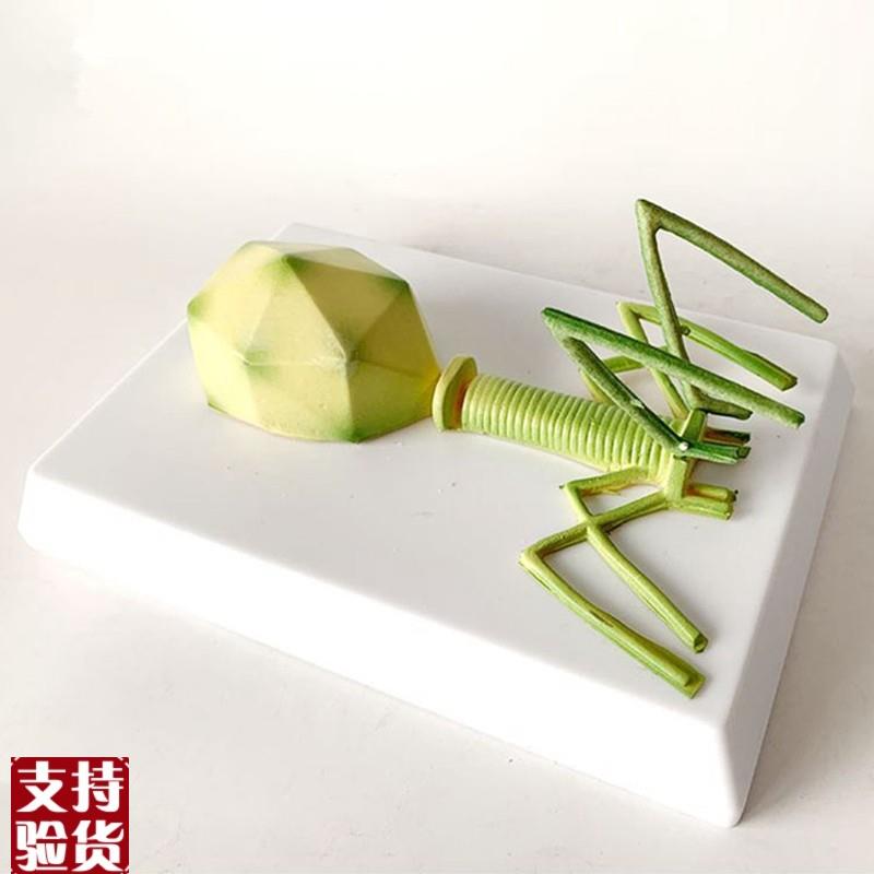 噬菌体模型感染细菌真菌藻类放G线菌螺旋体微生物学校实验