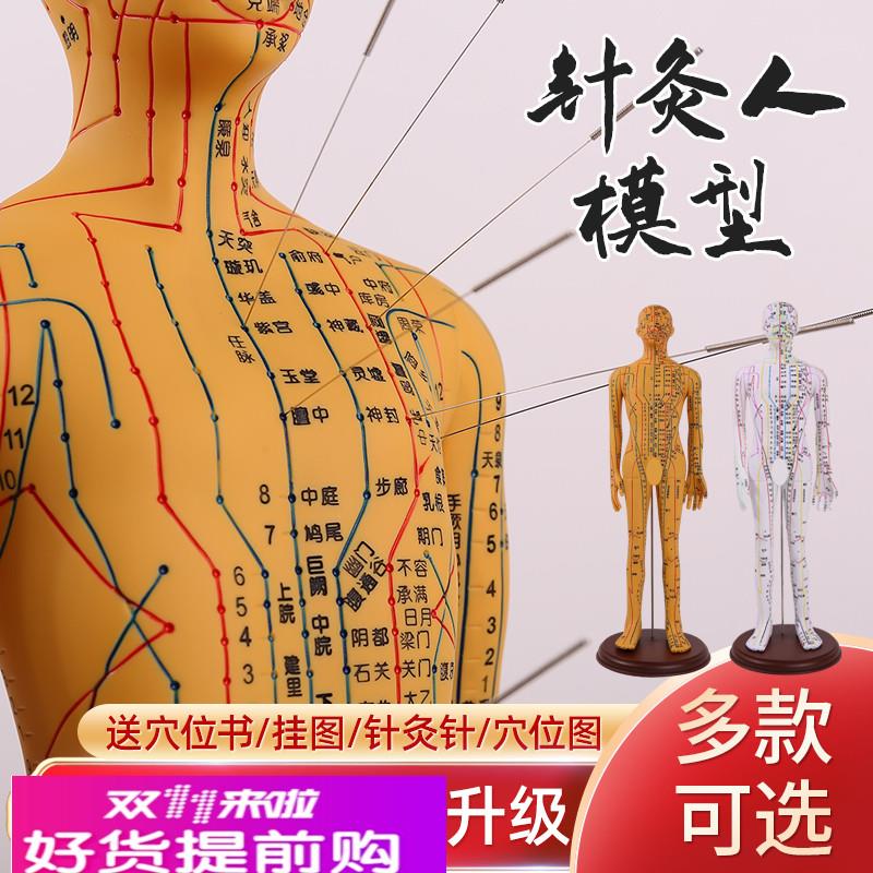 针灸穴位人体模型全身家用中医十二经络图小皮人硅胶扎针练习铜人