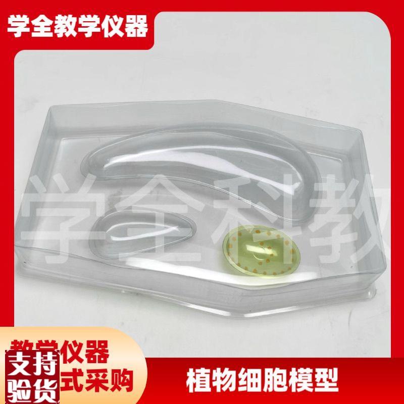 植物细胞模型生物教学模s型教学仪器生物结构教具细胞模型手工教