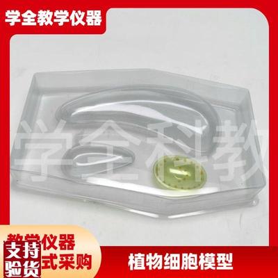 植物细胞模型生物教学模s型教学仪器生物结构教具细胞模型手工教