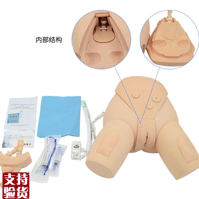下半身导尿f护理模型整体导尿培训模型男女性导尿模型