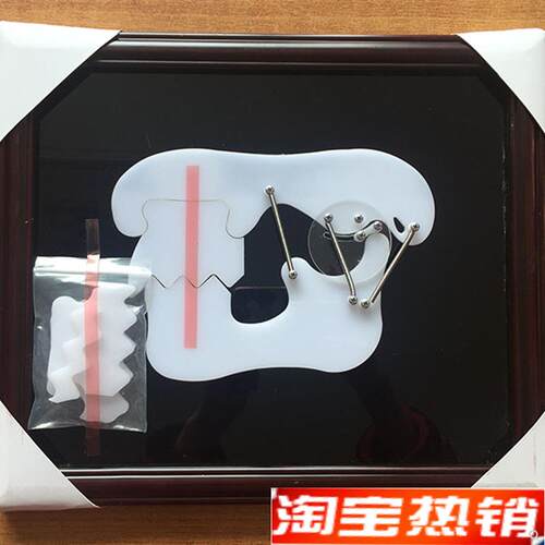 牙齿教学训练k演示板牙科牙颌关节咬合示教板