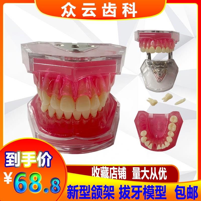 专业牙齿拔牙练习模型模具全口可拆卸牙齿软牙龈R28颗单色恒牙包