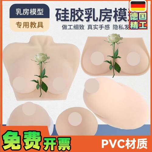 高级医学仿真女性乳房义乳假乳催乳师培训教具哺乳T教学纯硅胶模