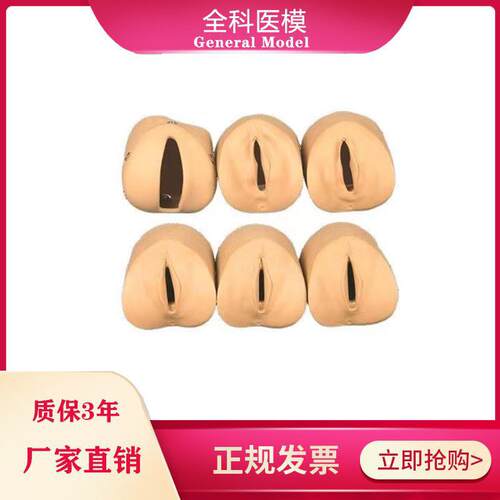 女性分娩生产k宫口模型产前宫颈变化与产道关系模型