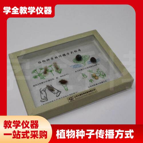 植物种子c传播方式标本小学科学生物实验器材教学仪器教学标本