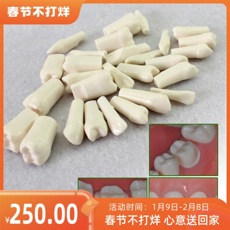 ENOVO颐e诺口腔齿科牙医备牙仿真牙齿牙体制备窝洞备牙粒离体牙
