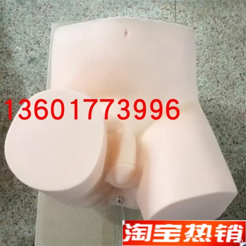 高级直肠指诊检查y模型前列腺触诊检查模型