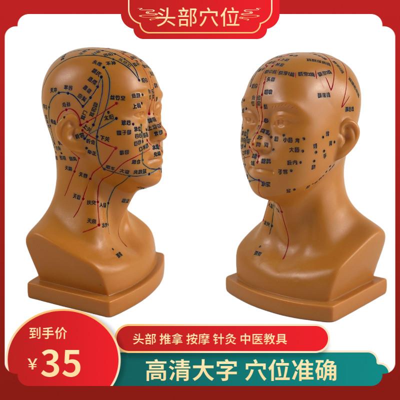 高清头部穴位模型针灸p刻字头模全脸面部假头腧穴人体穴位针灸头