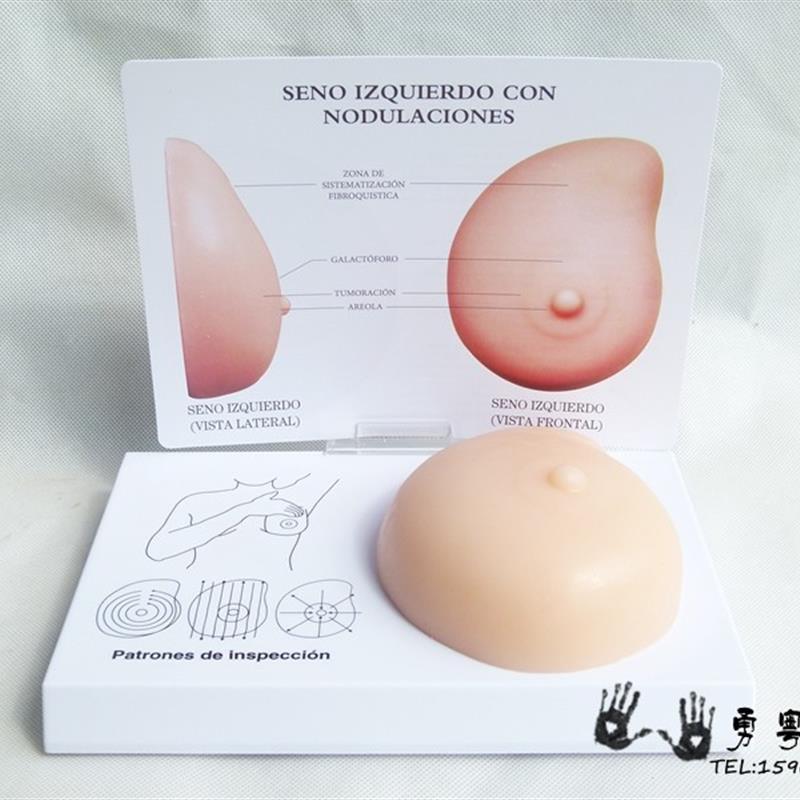 病理乳房模型乳房自检模型乳房硬块软料硅胶P计生办医用教学模型